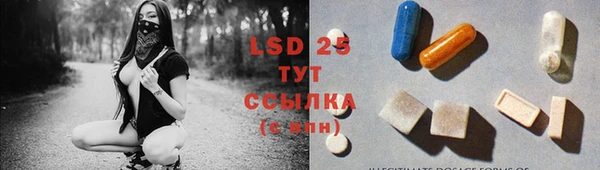 сатива Зеленокумск