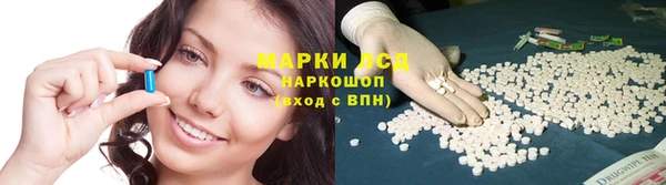 сатива Зеленокумск