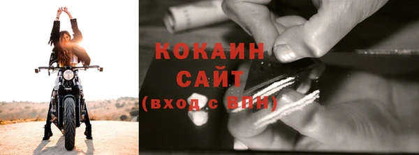 сатива Зеленокумск