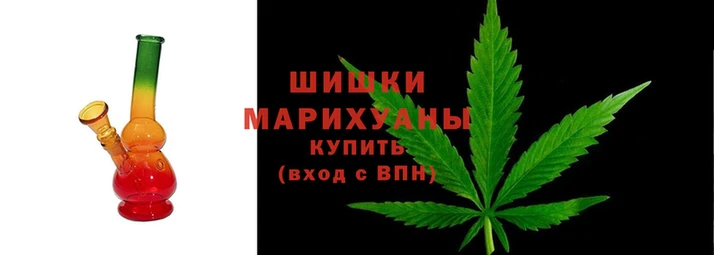 сатива Зеленокумск