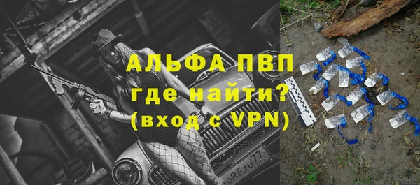 сатива Зеленокумск