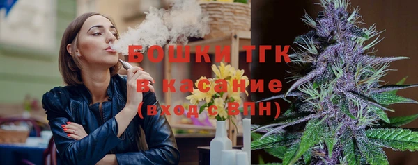 сатива Зеленокумск
