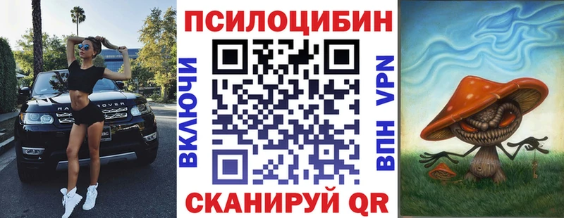 Купить где  Озёрск  Псилоцибиновые грибы мицелий 